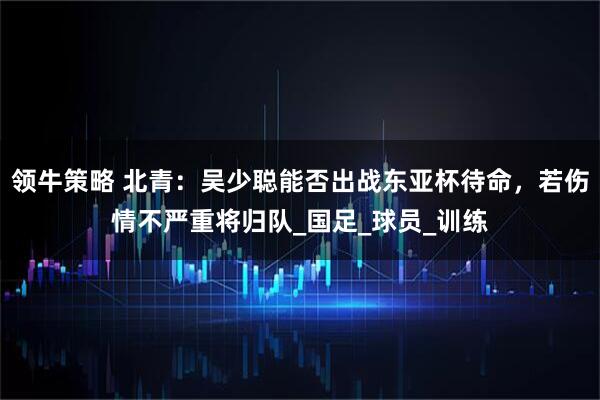 领牛策略 北青：吴少聪能否出战东亚杯待命，若伤情不严重将归队_国足_球员_训练