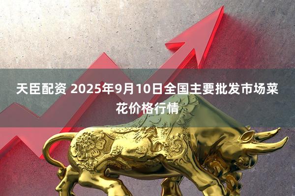 天臣配资 2025年9月10日全国主要批发市场菜花价格行情